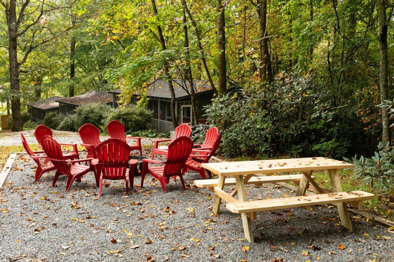 Foggy Bottom Cabins Pisgah Forest Ngoại thất bức ảnh